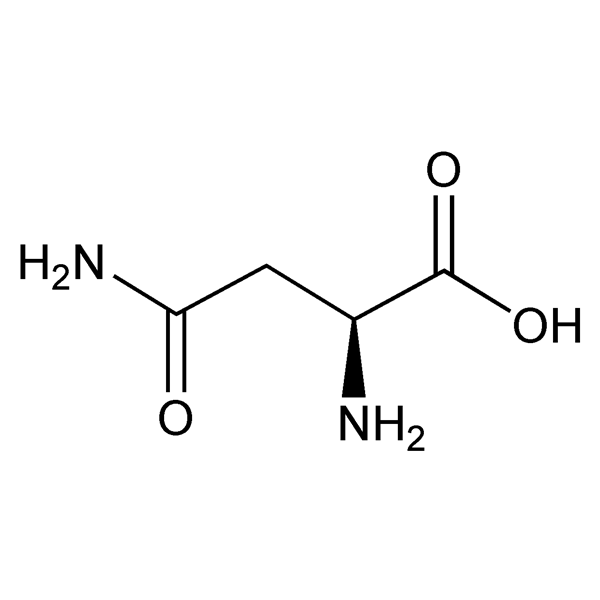 Graphical representation of Asparagine