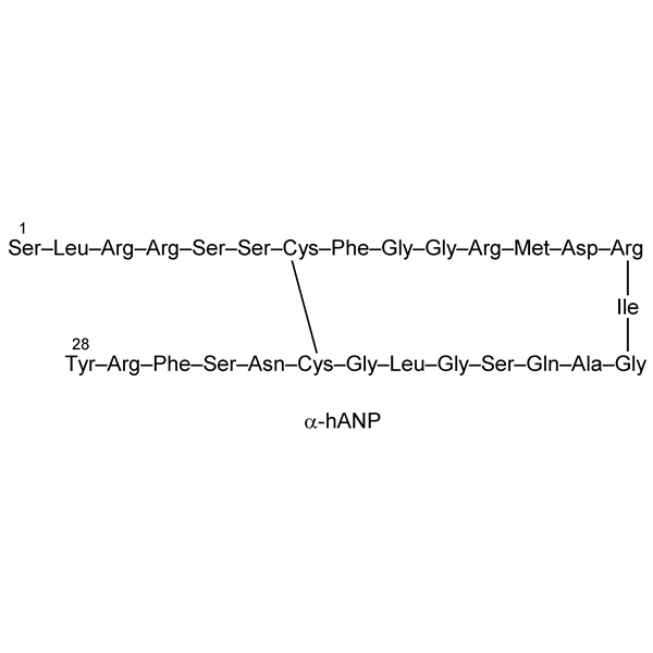 Graphical representation of Atrial Natriuretic Peptide