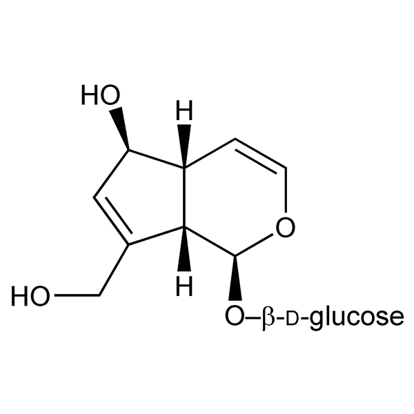 Graphical representation of Aucubin