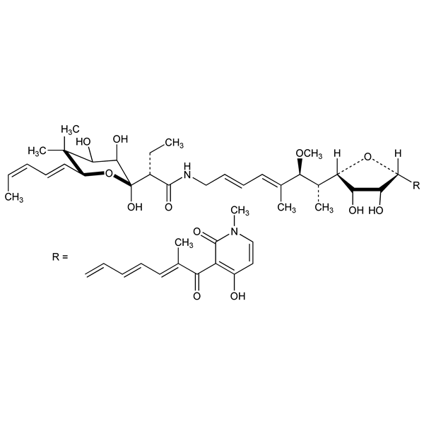 Graphical representation of Aurodox