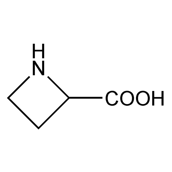 2-azetidinecarboxylicacid-monograph-image