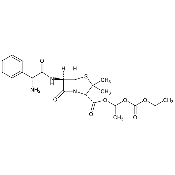 bacampicillin-monograph-image