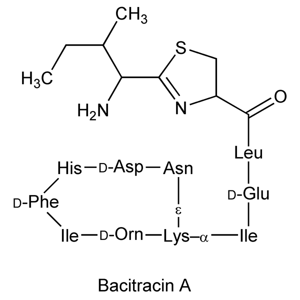 Graphical representation of Bacitracin