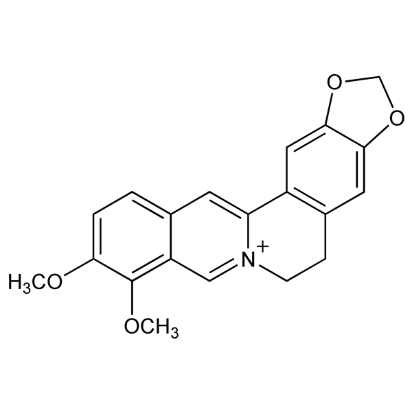 Graphical representation of Berberine