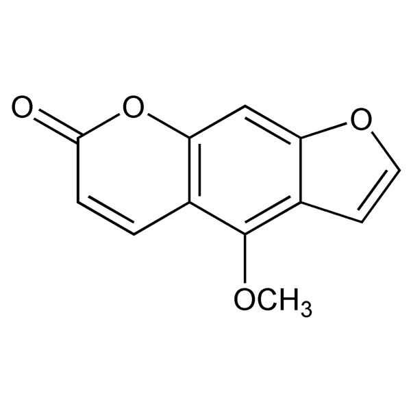 Graphical representation of Bergapten