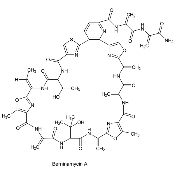 berninamycin-monograph-image