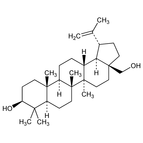 Graphical representation of Betulin