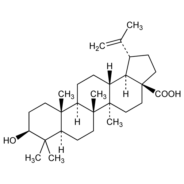 Graphical representation of Betulinic Acid