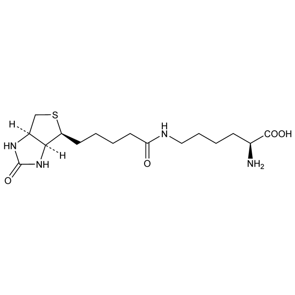 biocytin-monograph-image