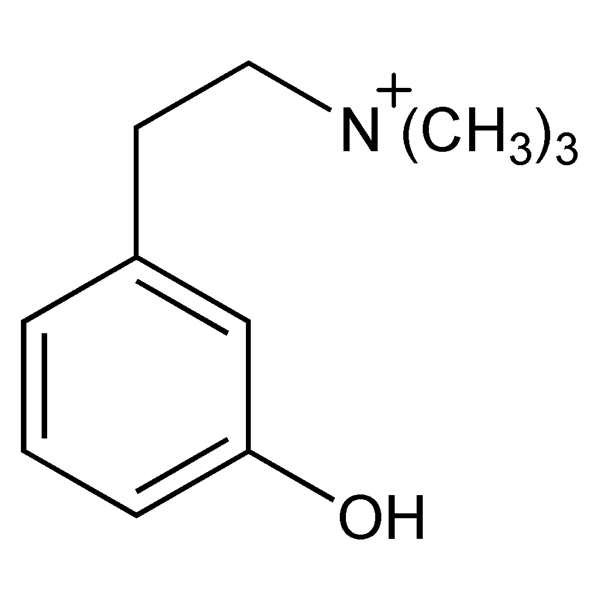 Graphical representation of Leptodactyline