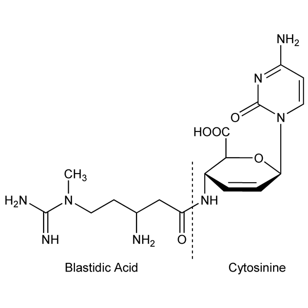 Graphical representation of Blasticidin S