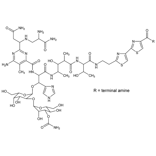 Graphical representation of Bleomycins