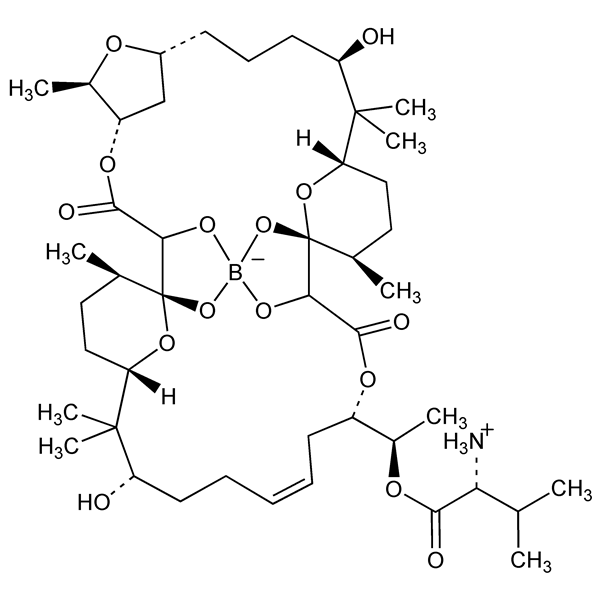 boromycin-monograph-image