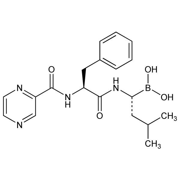 Graphical representation of Bortezomib