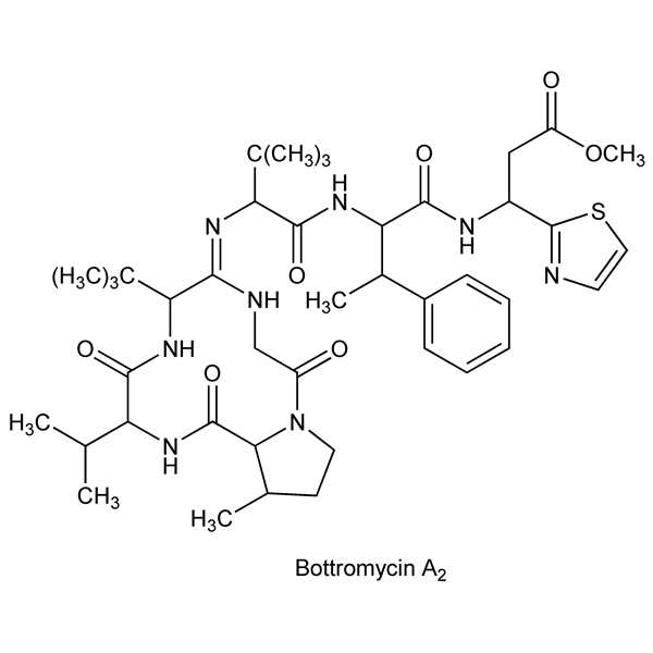 Graphical representation of Bottromycin