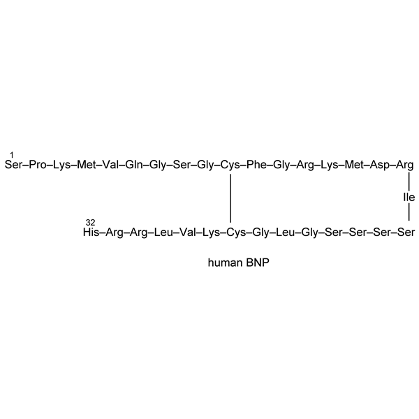 brainnatriureticpeptide-monograph-image