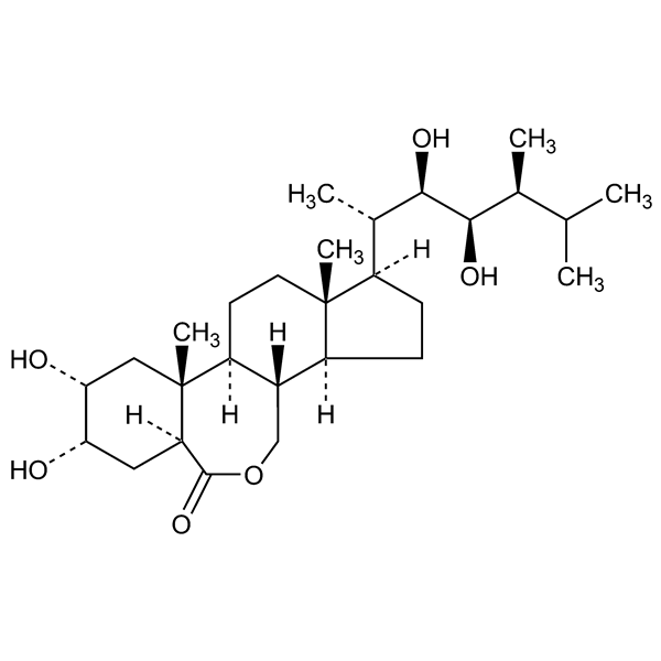 brassinolide-monograph-image