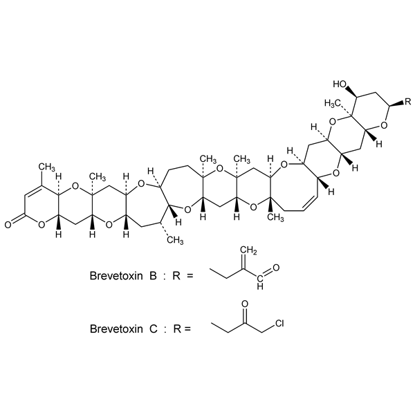 Graphical representation of Brevetoxins