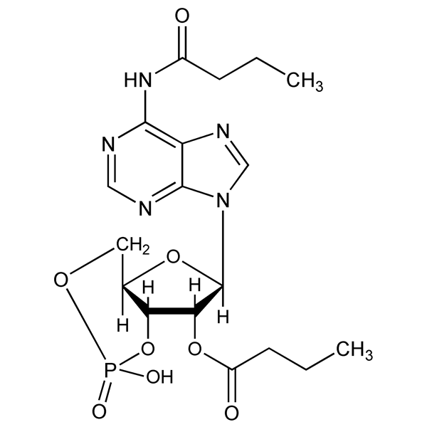 Graphical representation of Bucladesine