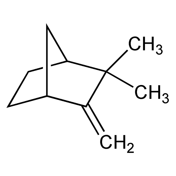 Graphical representation of Camphene