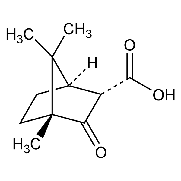 d-camphocarboxylicacid-monograph-image