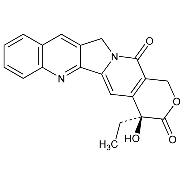 Graphical representation of Camptothecin