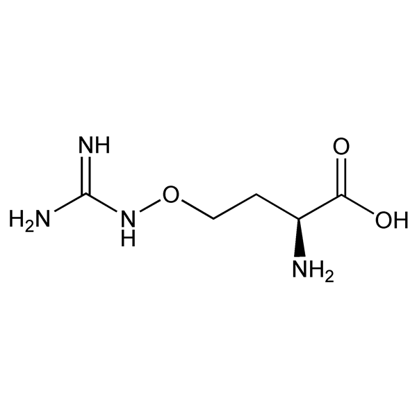 Graphical representation of Canavanine