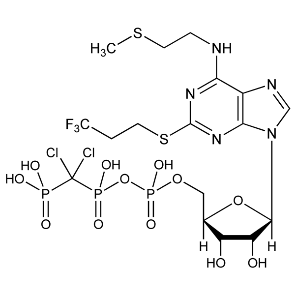 Graphical representation of Cangrelor