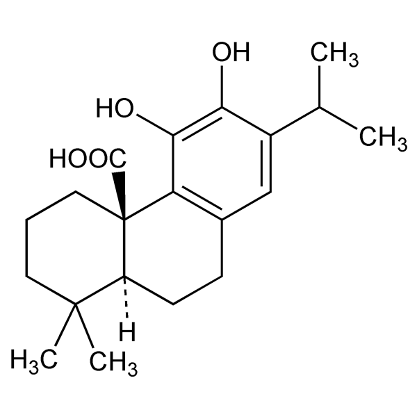 Graphical representation of Carnosic Acid