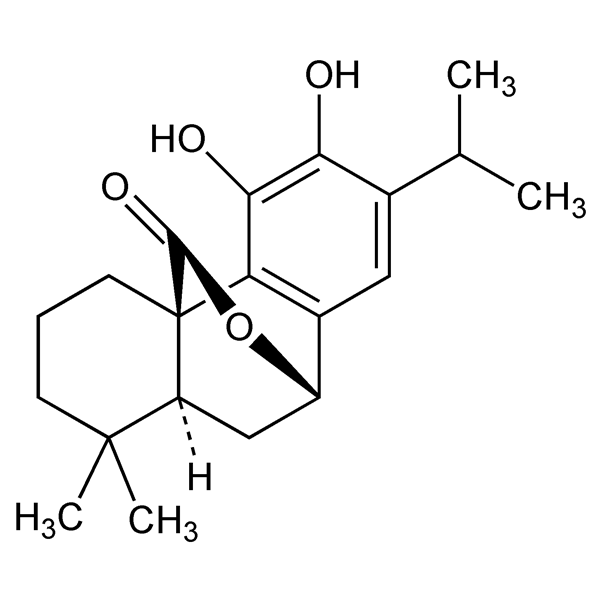 Graphical representation of Carnosol