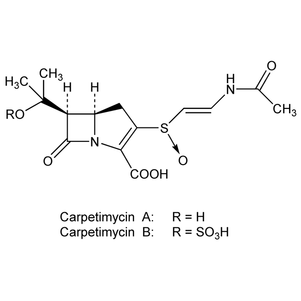 Graphical representation of Carpetimycins