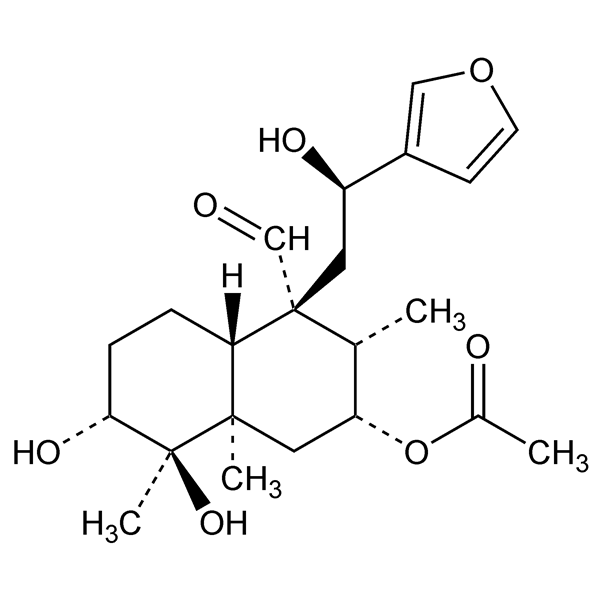 Graphical representation of Cascarillin