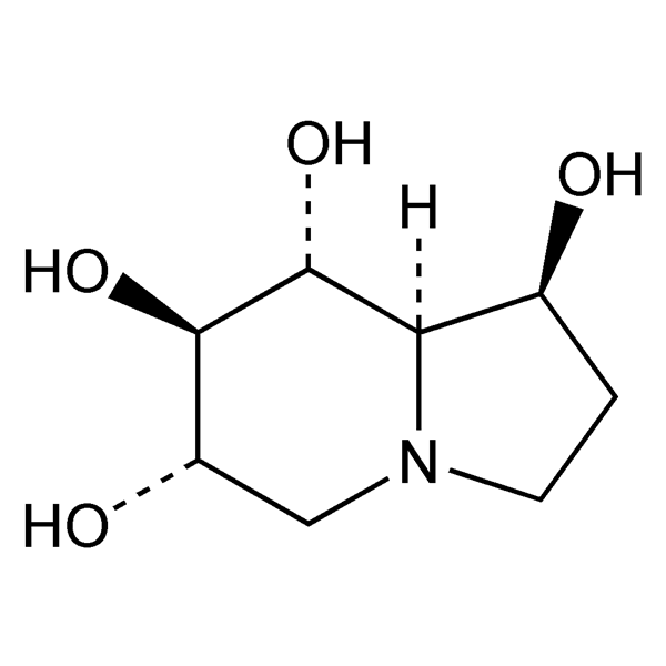 Graphical representation of Castanospermine