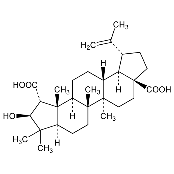 Graphical representation of Ceanothic Acid