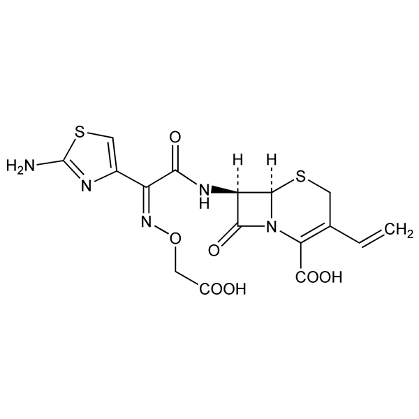 Graphical representation of Cefixime