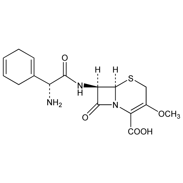 Graphical representation of Cefroxadine