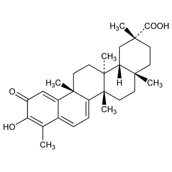 Graphical representation of Celastrol