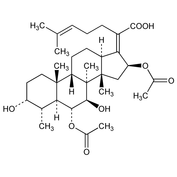 cephalosporinp1-monograph-image