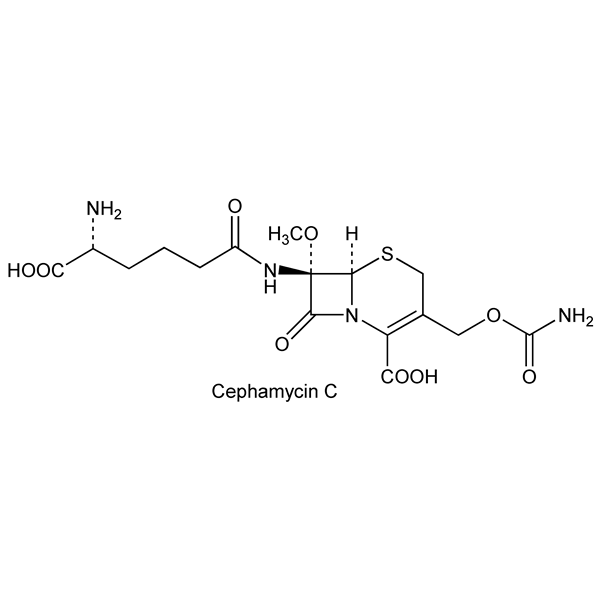 Graphical representation of Cephamycins