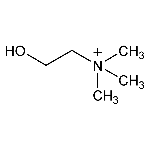 Graphical representation of Choline