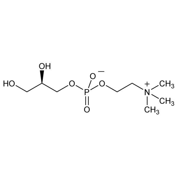 Graphical representation of Choline Alfoscerate