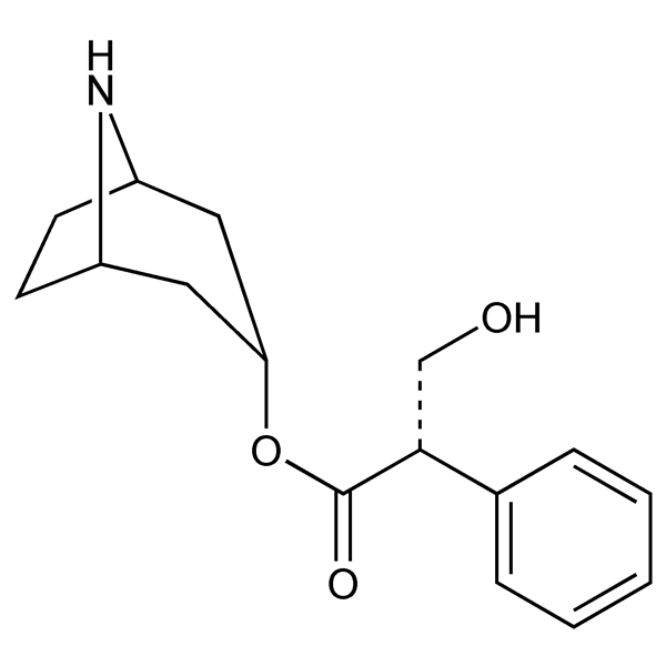 norhyoscyamine-monograph-image