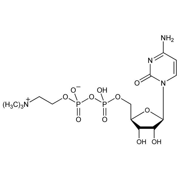 citicoline-monograph-image