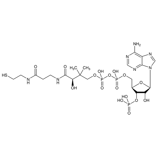 Graphical representation of Coenzyme A