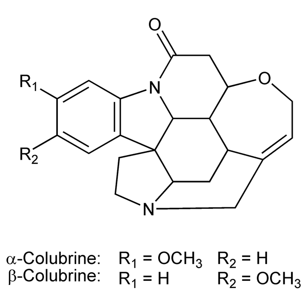 Graphical representation of Colubrines