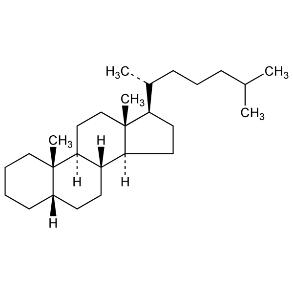 Graphical representation of Coprostane