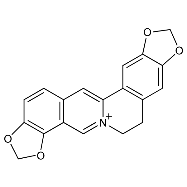 Graphical representation of Coptisine