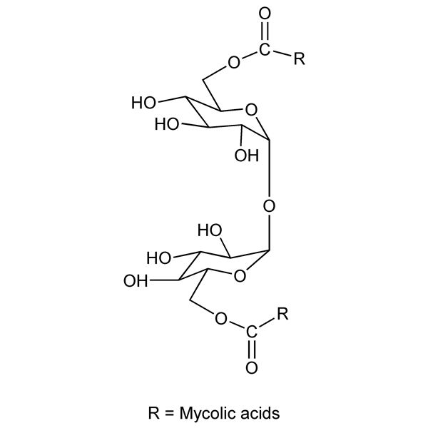 Graphical representation of Cord Factors