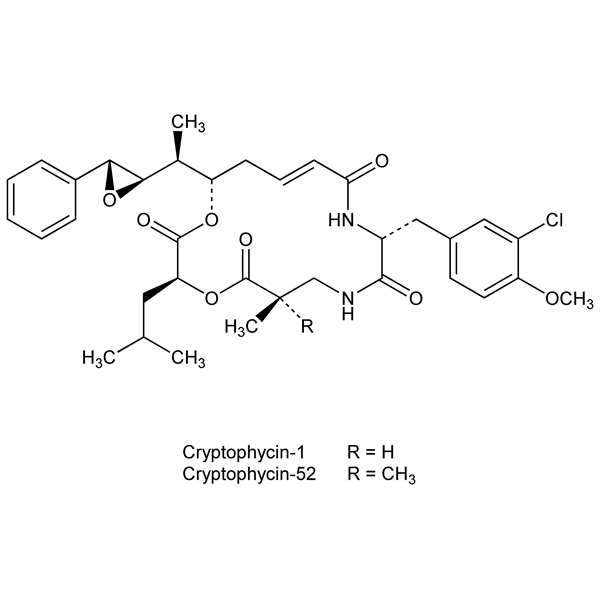 Graphical representation of Cryptophycins