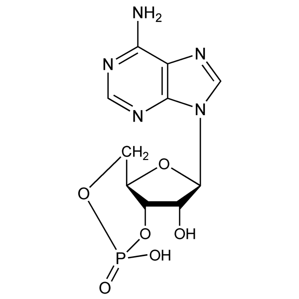 Graphical representation of Cyclic AMP